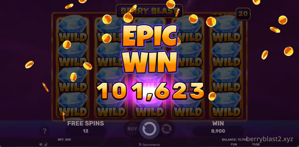 Berry Blast bonus feature